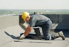 Best Roof Maintenance and Cleaning  in Soddy Daisy, TN